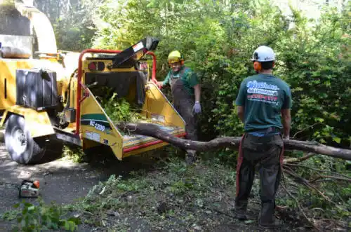 tree services Melbourne